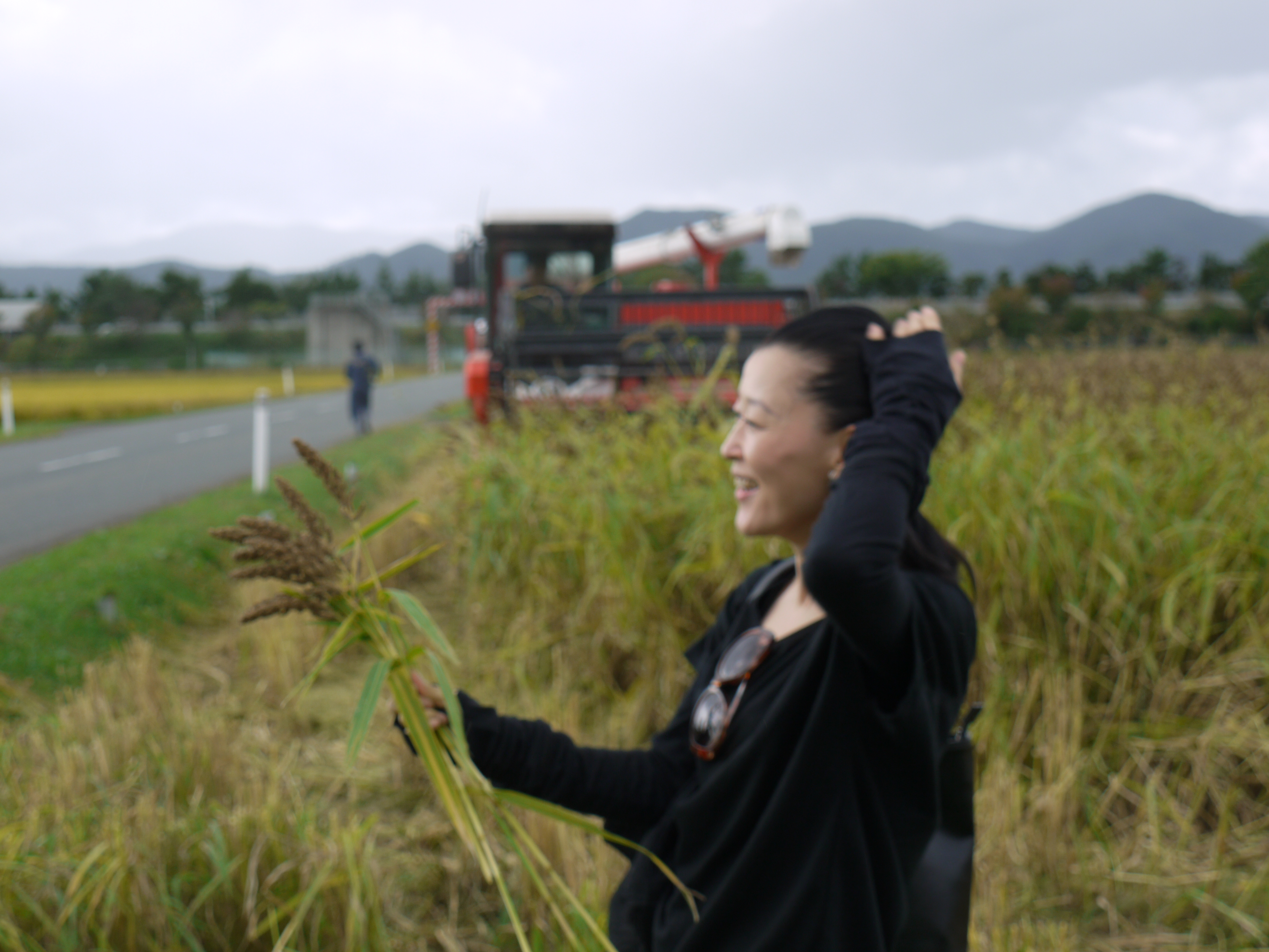 P1130824　2014.9.27岩手県ひえ